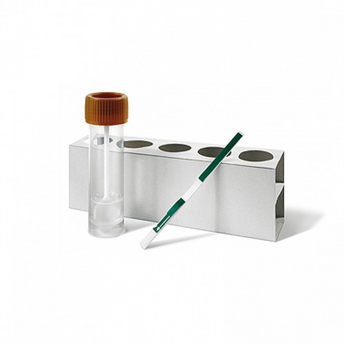 SPEED F-CORONA ( FIP ) 6 test