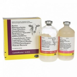 CATTLEMASTER 4 25 dosi