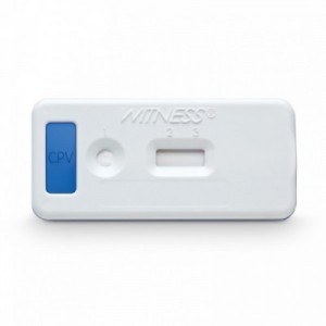 WITNESS PARVO 5 test