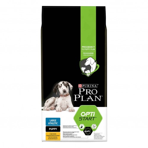 PP CANE PUPPY OPTISTART large...