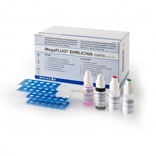 MEGA SCREEN FLUOEHRLICHIA C. 10 VETRINI