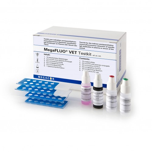 MEGA SCREEN FLUO RICKETTSIA  con.  50...