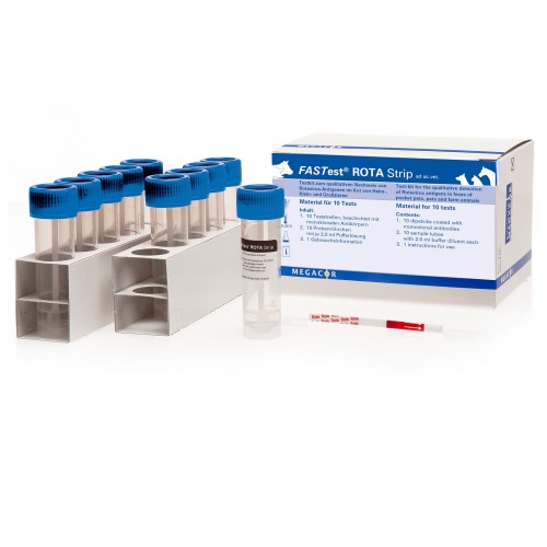 FASTest ROTA STRIP 10 TESTS