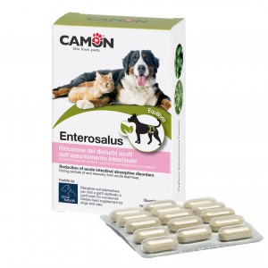 ENTEROSALUS 1 gr 30 cpr