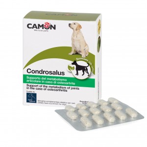 CONDROSALUS 60 cpr 2