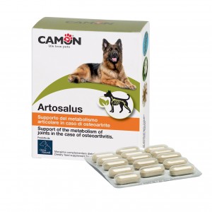 ARTOSALUS 60 cpr 2