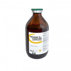 ADIUXAN B12 carnitina 250 ml