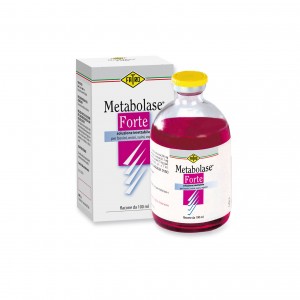 METABOLASE FORTE 100 ml