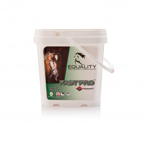 FASTPRO 2 kg