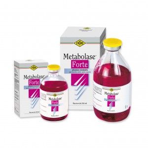 METABOLASE FORTE 250 ml