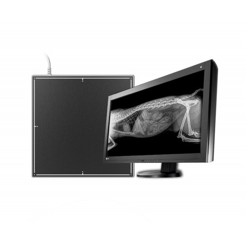 RADIOLOGICO D-RECT DIAGNOSTIC 1717