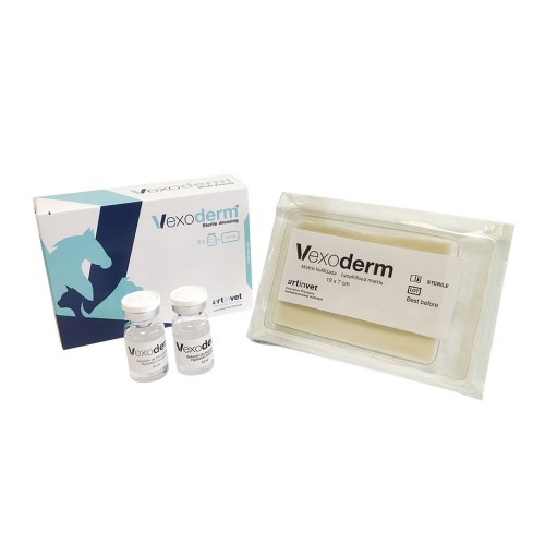 VEXODERM dressing 10 x 7