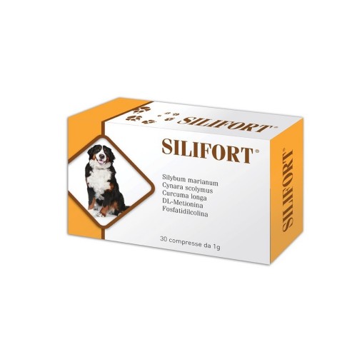 SILIFORT 30 cpr 1 gr