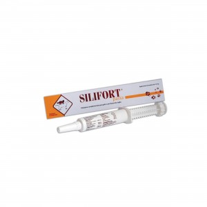 SILIFORT pasta 15 gr os...