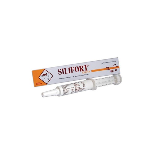 SILIFORT pasta 15 gr os siringa