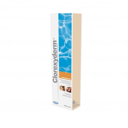 CLOREXY DERM soluzione spray 200 ml