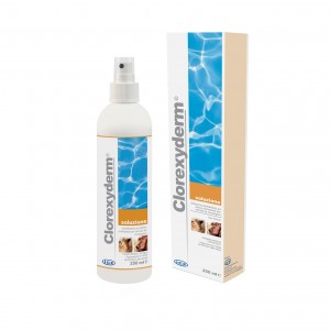 CLOREXY DERM soluzione... 2