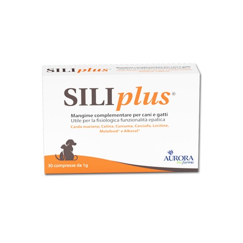 SILIPLUS 30 cpr 1 gr