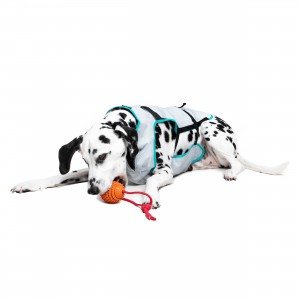 MPS DRY COOLING VEST X CANE...