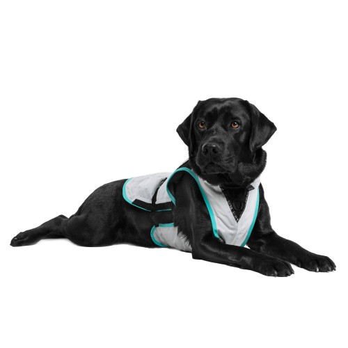 MPS DRY COOLING VEST X CANE (XL)