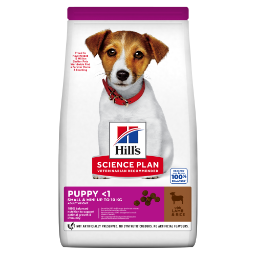 SP CANE PUPPY small&miniature...