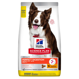 SP CANE ADULT perfect...