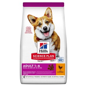 SP CANE ADULT...