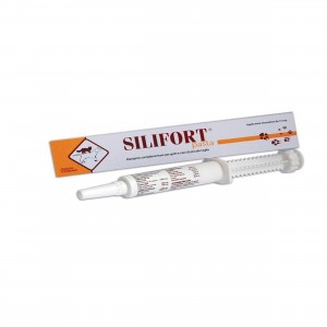 SILIFORT pasta 30 gr os...
