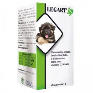 LEGART UP 60 cpr