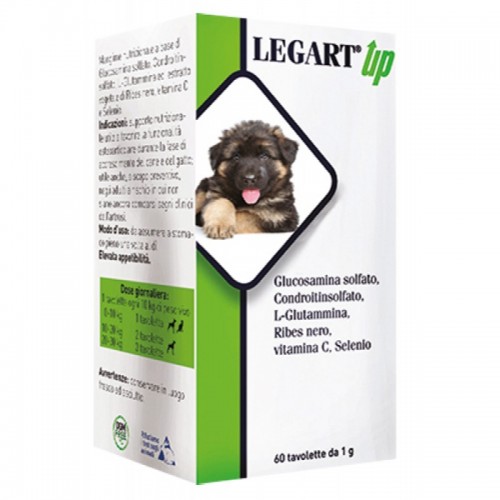 LEGART UP 60 cpr