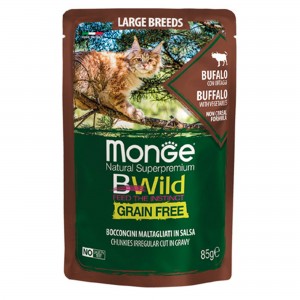MONGE GATTO BWILD LARGE...