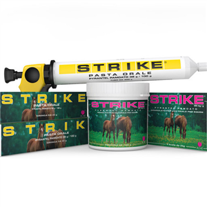 STRIKE PASTA 1 siringa 50 gr