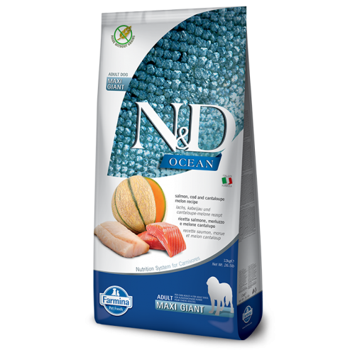 N&D CANE OCEAN salmone/merl/melone...