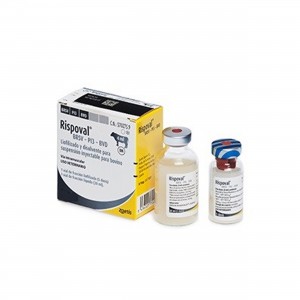 RISPOVAL D-BVD 25 dosi