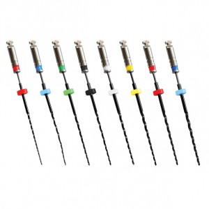 Rotary Endo System 31 mm...