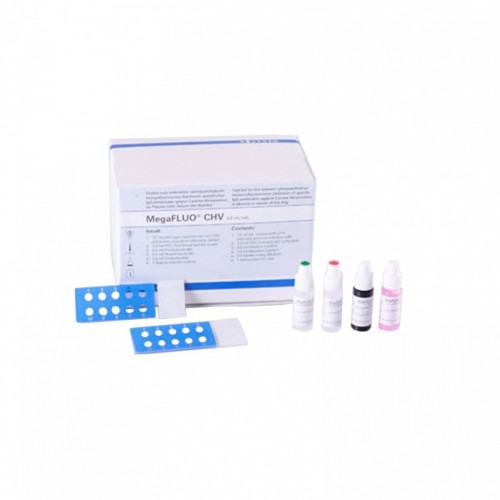 MEGA SCREEN FLUOENCEPHALITOZOON...