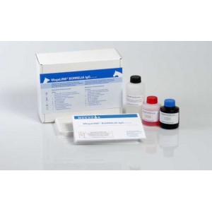 MEGABlot IGG-BORRELIA canis...
