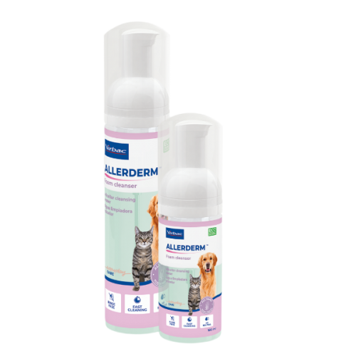 ALLERDERM shampoo cute normale 250 ml