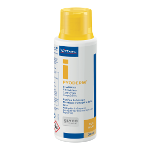 PYODERM shampoo 250 ml