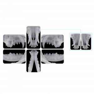 SISTEMA RX DIGITALE CR8 VET... 2