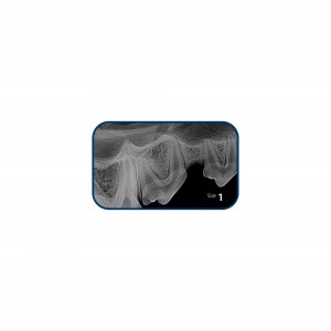CR8 IMAGE PLATE IPX SIZE 1... 2