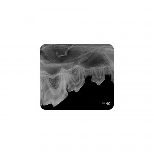 CR8 IMAGE PLATE IPX SIZE 4C... 2