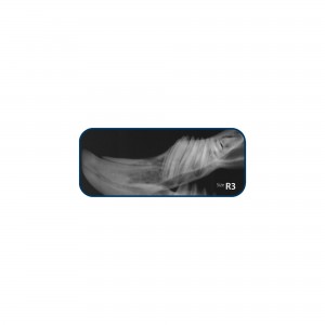 CR8 IMAGE PLATE IPX SIZE R3... 2