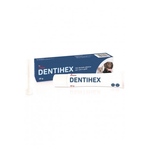 DENTIHEX tubo 20 gr gel dentale adesivo