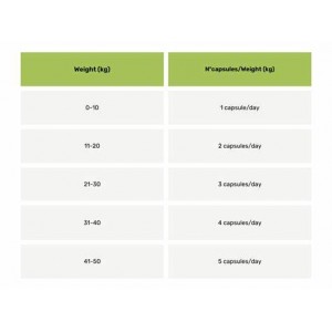 ARTENNUA 90 capsule 400 mg 2