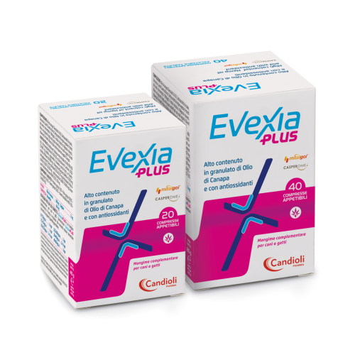 EVEXIA FAST 30 cpr da 2 gr