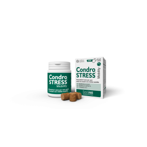 CONDROSTRESS mobility 30 chews