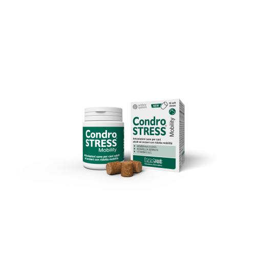 CONDROSTRESS mobility 30 chews