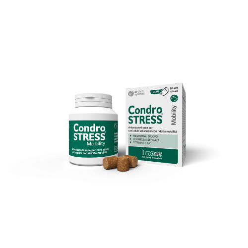 CONDROSTRESS mobility 60 chews