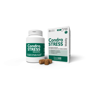 CONDROSTRESS mobility 90 chews